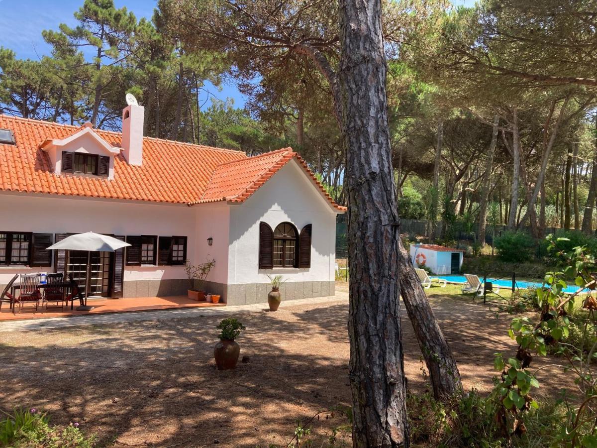 Moradia No Pinhal Com Piscina - Espaco E Privacidade Para As Suas Ferias! Sintra Exterior photo