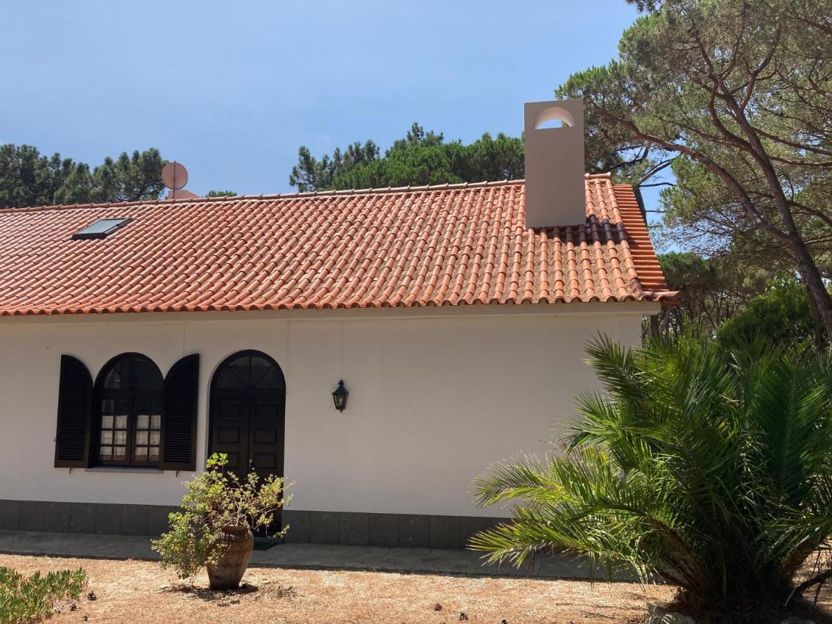 Moradia No Pinhal Com Piscina - Espaco E Privacidade Para As Suas Ferias! Sintra Exterior photo